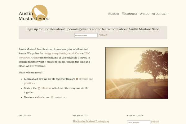 Ams theme site design template sample