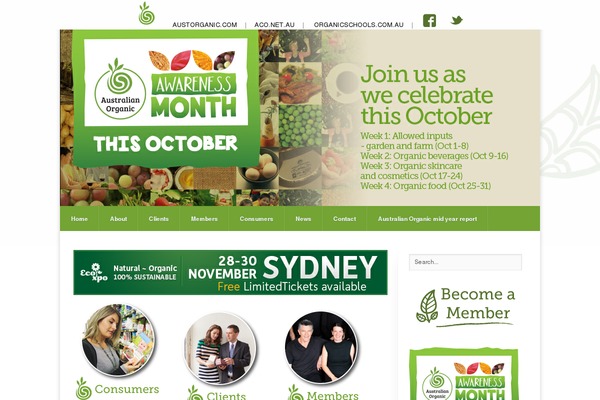 Hello Elementor theme site design template sample