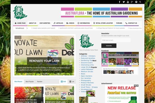 Divi Child theme site design template sample