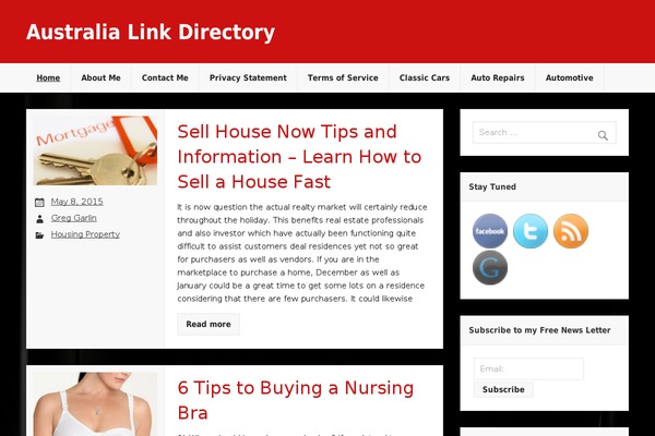 Rubine Lite theme site design template sample