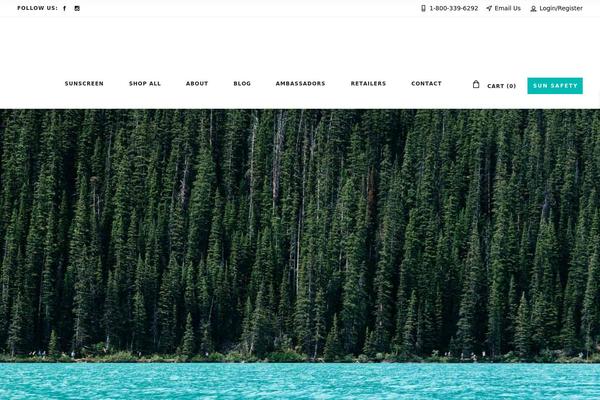 WaveRide theme site design template sample