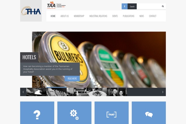 Felius theme site design template sample