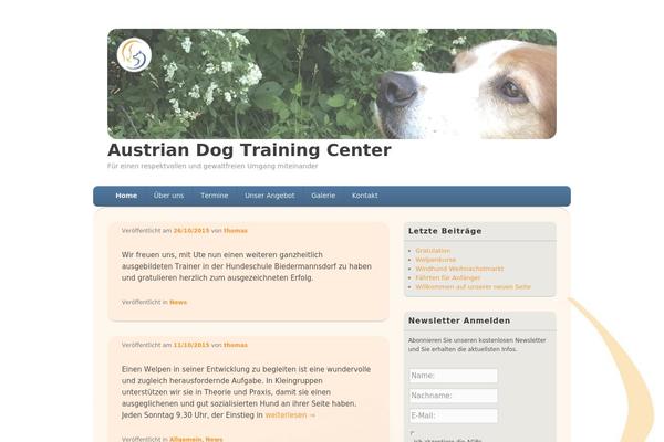 Catch Box theme site design template sample