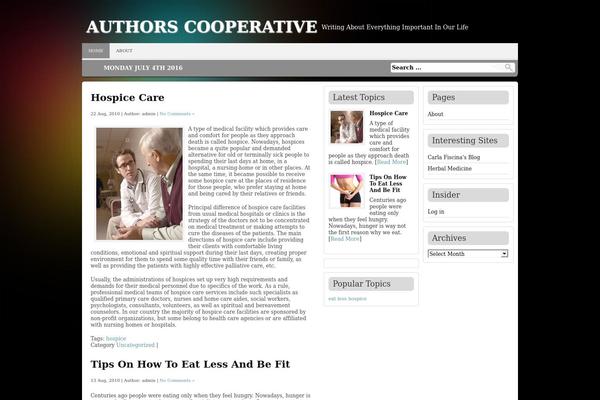 Antisnews theme site design template sample