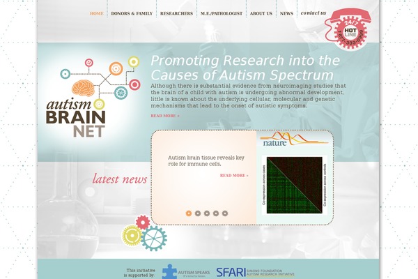 AutismBrainNet theme websites examples