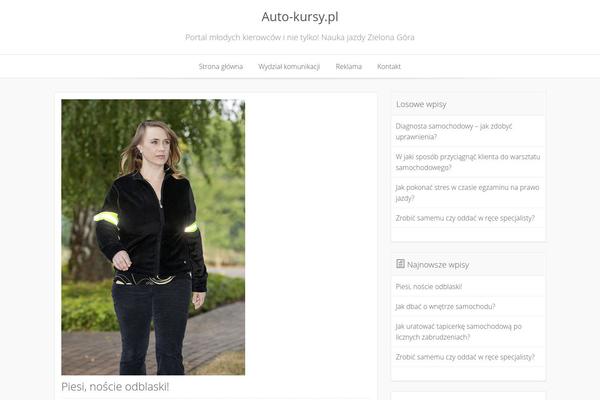Annina theme site design template sample