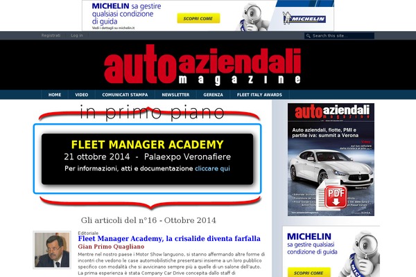 Site using Skaut-google-drive-gallery plugin
