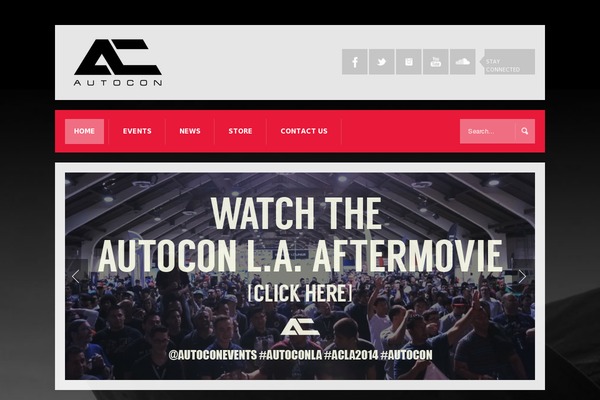 Site using Elementor-pro plugin
