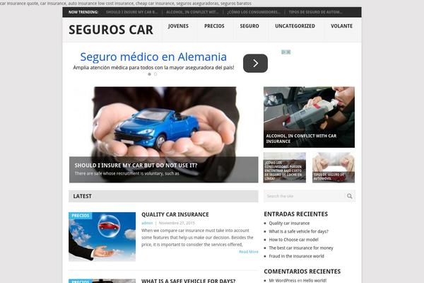 Site using Adsense-click-fraud-monitoring-master plugin