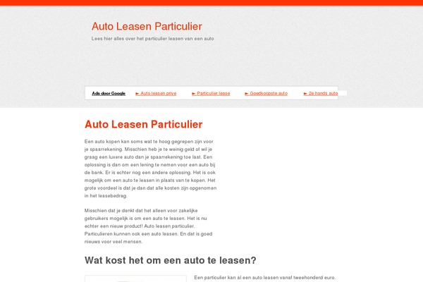 Simple Catch Pro theme site design template sample