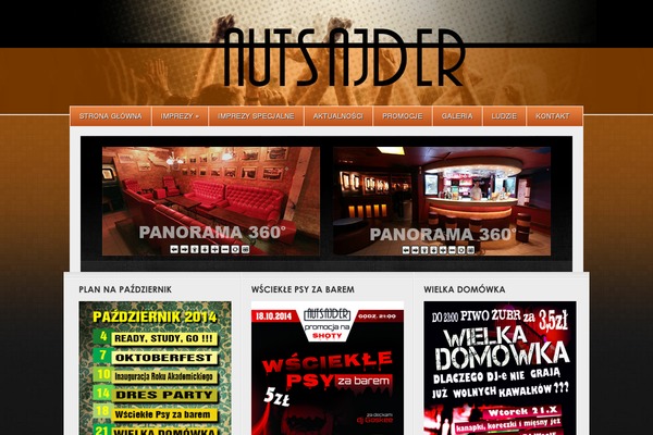 Wisebusiness theme site design template sample