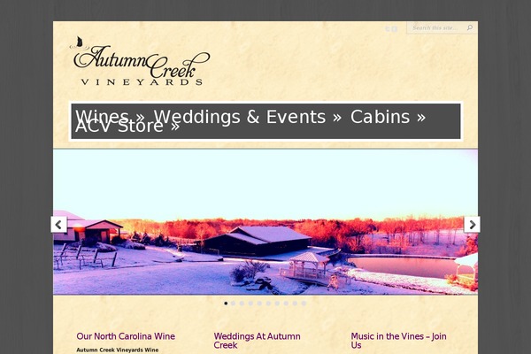 Chameleon theme site design template sample