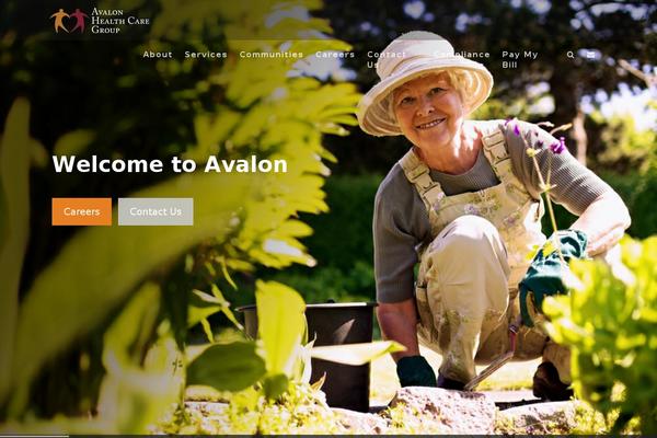 Site using Wp-accordions-pro plugin