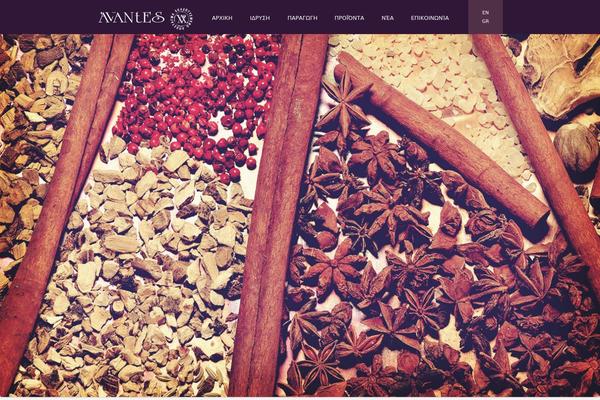 Redsky theme site design template sample