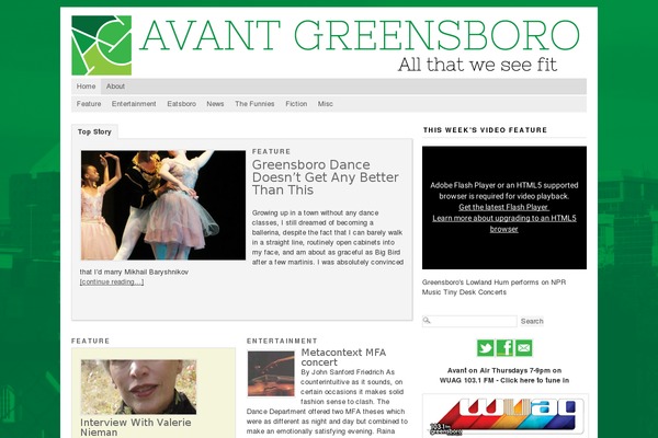 Branfordmagazine Pro theme site design template sample