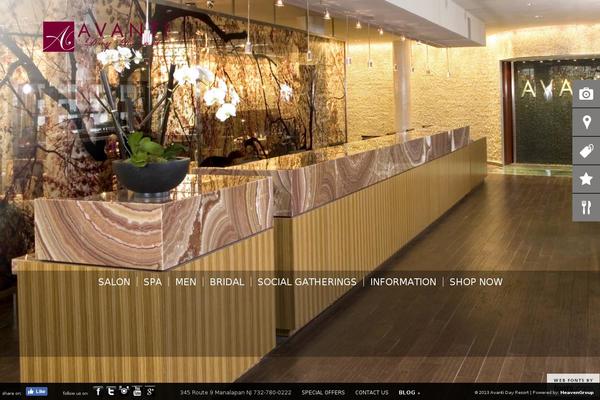 Aviana theme site design template sample