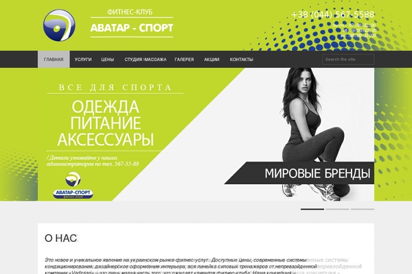 Fitness-wp theme site design template sample