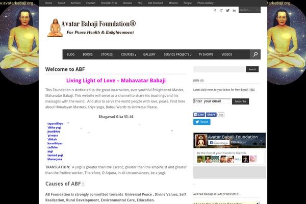 Magazon Wp theme site design template sample