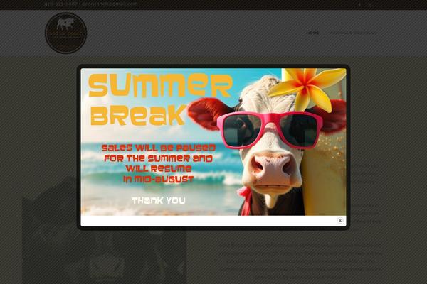 Bridge theme site design template sample