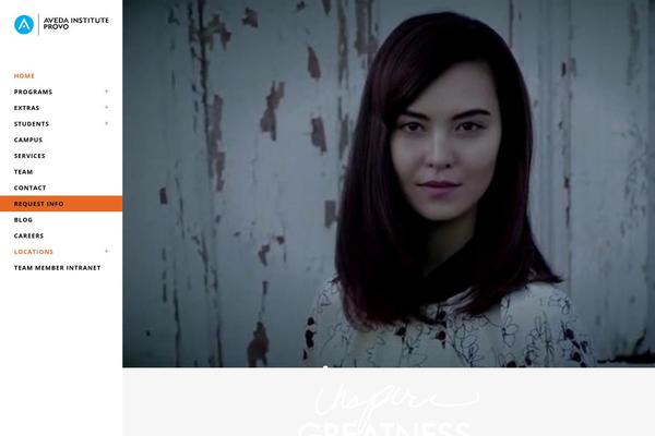 Bridge theme site design template sample