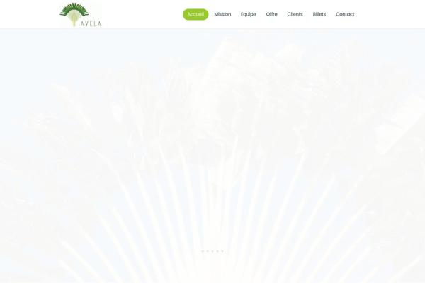 Consultor theme site design template sample