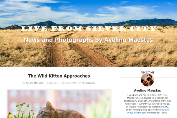 Nano theme site design template sample