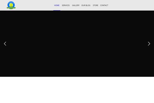 Site using Simple Twitter Tweets plugin