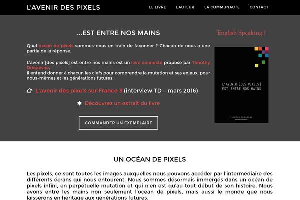 Site using MailChimp List Subscribe Form plugin