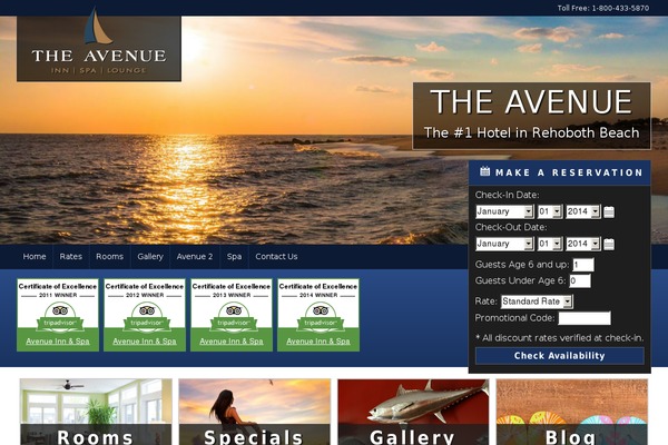 mccoy theme websites examples