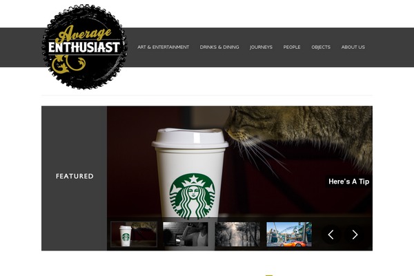 Pulse theme site design template sample