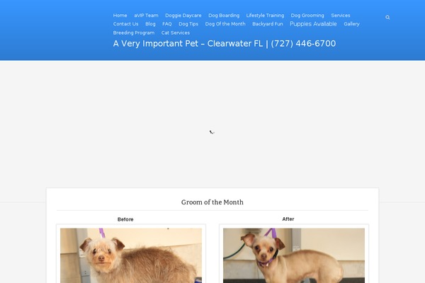 Site using All-In-One Slideshow plugin