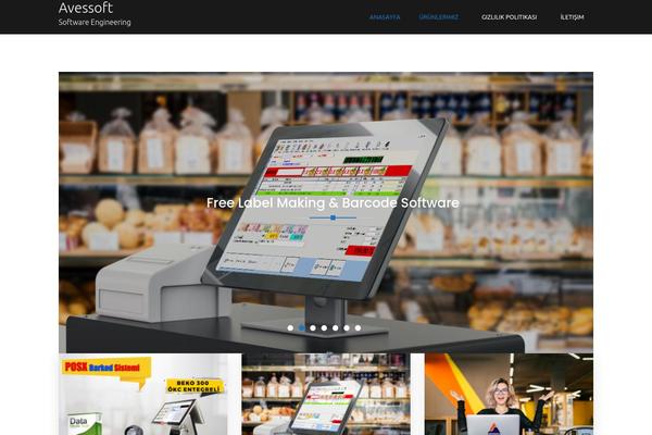 avessoft.com site used Boston-business