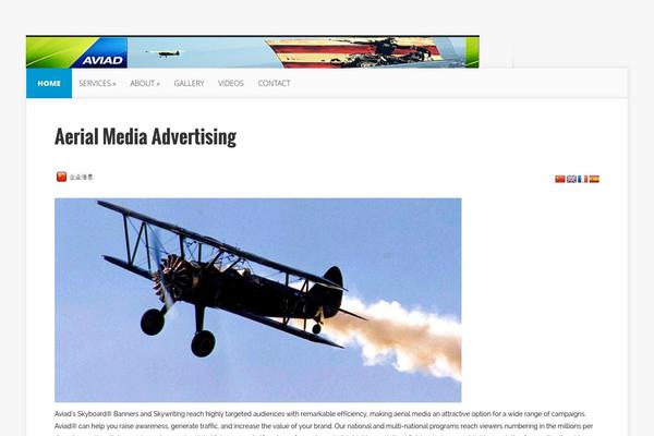 Nexus theme site design template sample