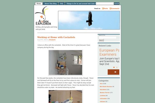 Misty Look theme site design template sample