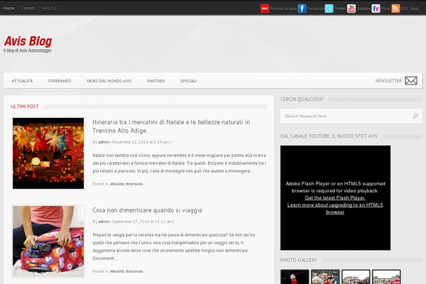 Widezine theme site design template sample