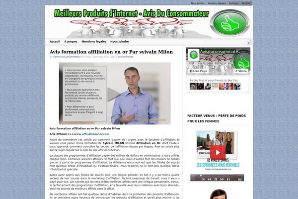 Schema Lite theme site design template sample