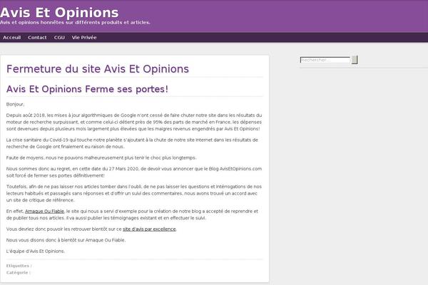 Crucial theme site design template sample
