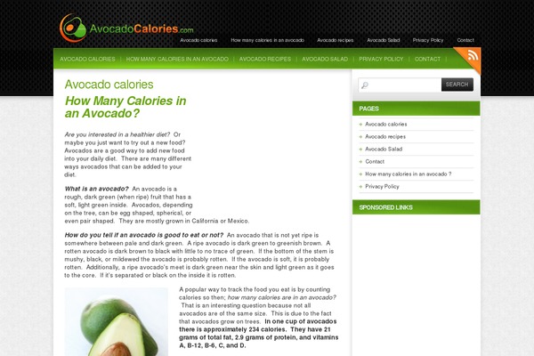 Colorbold theme site design template sample