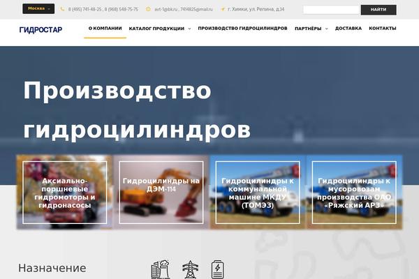 Site using Mailchimp-for-woocommerce plugin