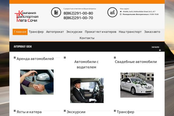Shandora theme site design template sample
