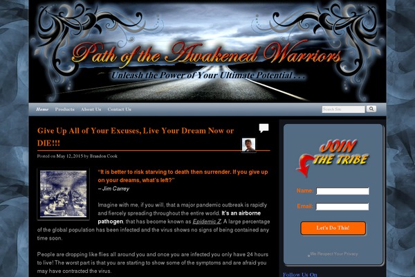 Site using Weaver Show Posts plugin