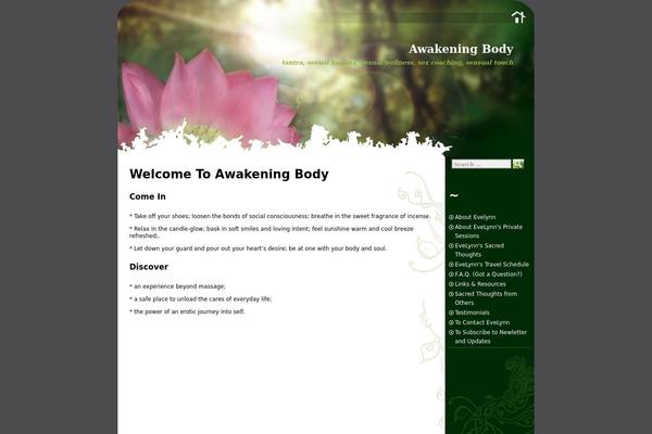 awakeningbody.com site used Awakening-body