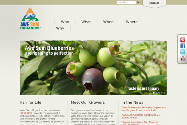 Website theme site design template sample