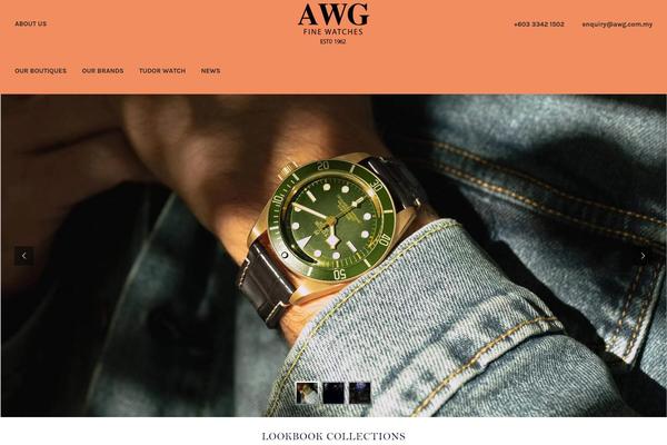 Site using Wonderplugin-gridgallery plugin