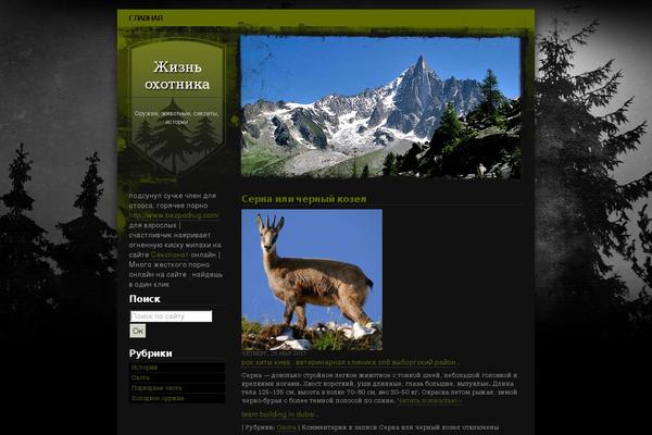 Site using WP-PageNavi plugin