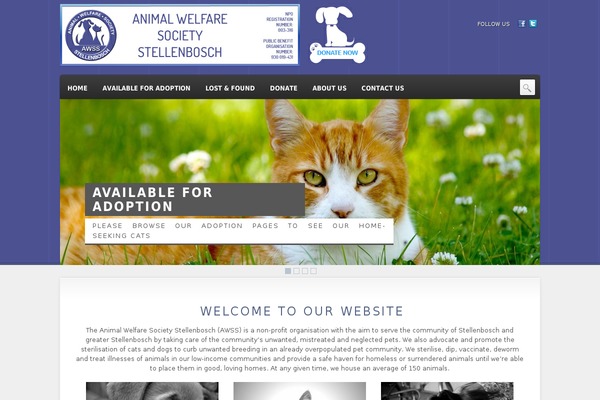 Animal_care_theme theme site design template sample