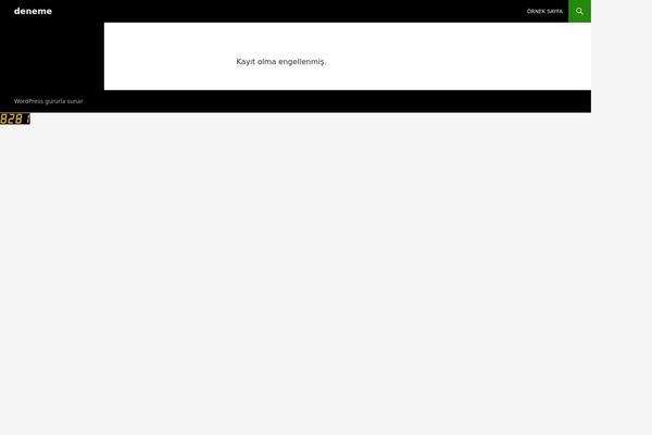 axtelhost.com site used Twenty Fourteen
