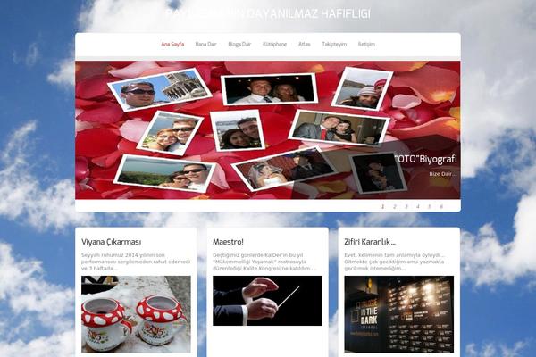 Zenon Lite theme site design template sample