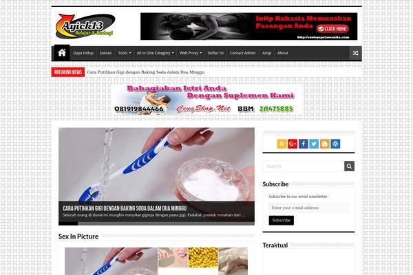 Sahifa5.2.2 theme site design template sample