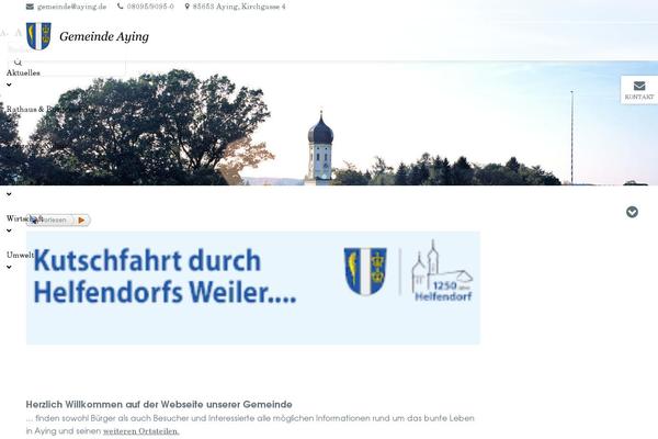 Pro theme site design template sample